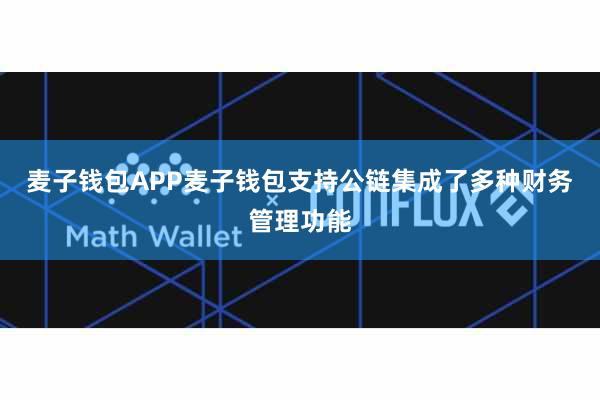 麦子钱包APP麦子钱包支持公链集成了多种财务管理功能