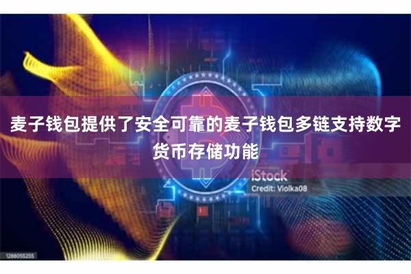 麦子钱包提供了安全可靠的麦子钱包多链支持数字货币存储功能