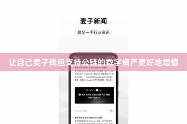 让自己麦子钱包支持公链的数字资产更好地增值