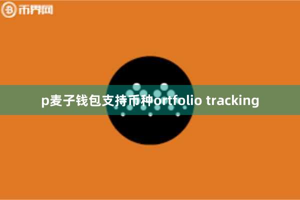 p麦子钱包支持币种ortfolio tracking