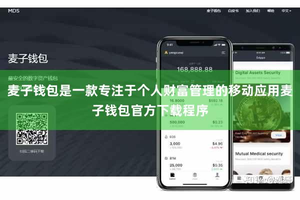 麦子钱包是一款专注于个人财富管理的移动应用麦子钱包官方下载程序