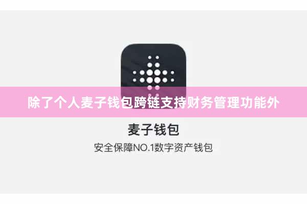 除了个人麦子钱包跨链支持财务管理功能外