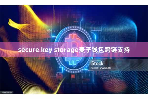 secure key storage麦子钱包跨链支持