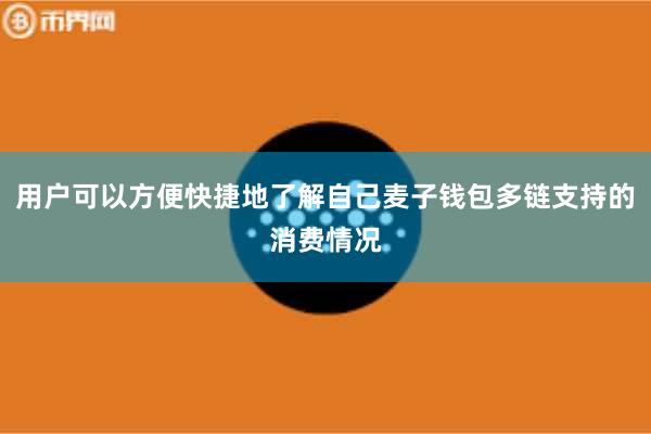 用户可以方便快捷地了解自己麦子钱包多链支持的消费情况