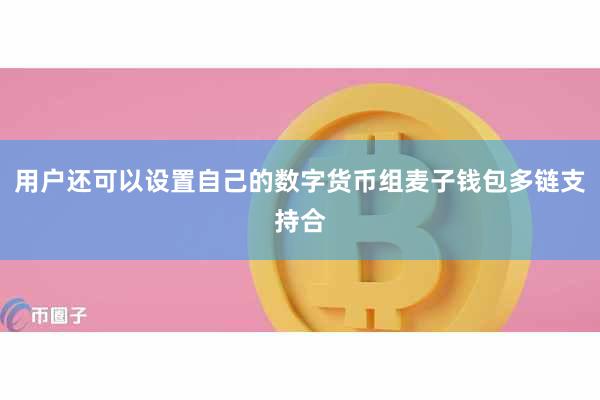 用户还可以设置自己的数字货币组麦子钱包多链支持合