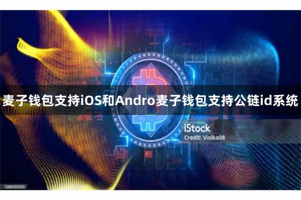 麦子钱包支持iOS和Andro麦子钱包支持公链id系统