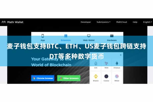 麦子钱包支持BTC、ETH、US麦子钱包跨链支持DT等多种数字货币