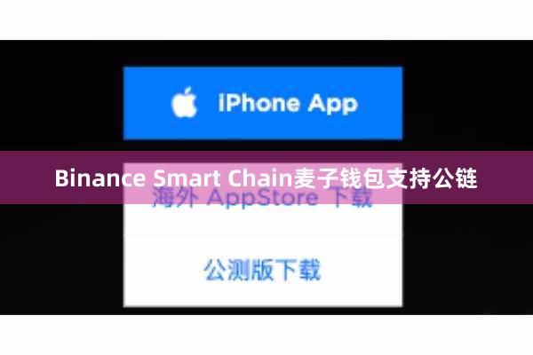 Binance Smart Chain麦子钱包支持公链