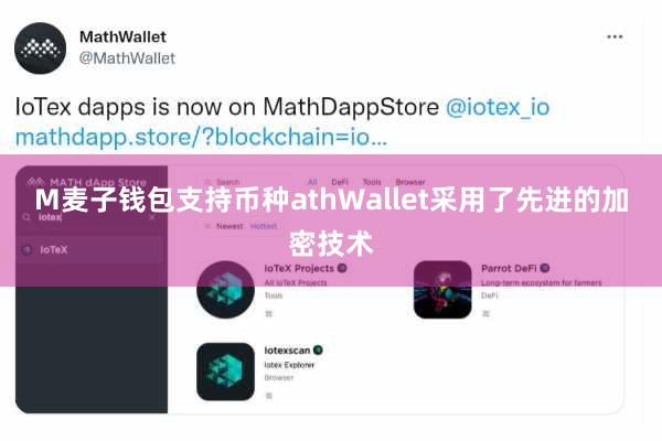 M麦子钱包支持币种athWallet采用了先进的加密技术