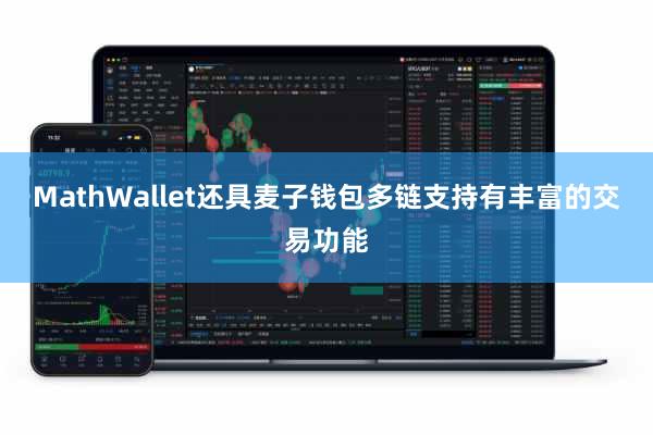 MathWallet还具麦子钱包多链支持有丰富的交易功能